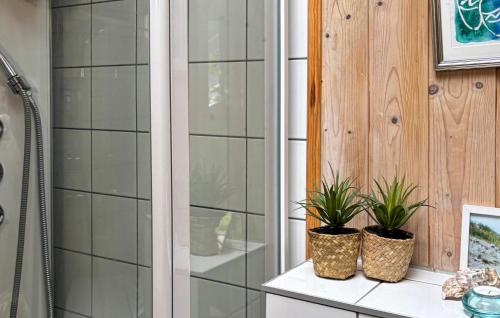 two plants sitting on a counter in a bathroom at Lovely Home In Heberg With Sauna in Heberg
