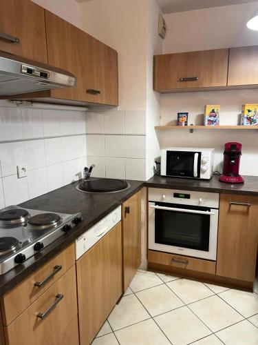 Il comprend une cuisine équipée d'un évier et d'un four micro-ondes. dans l'établissement Résidence Bel Alp - BEL ALP 3 MAE-6771, à Saint-Gervais-les-Bains