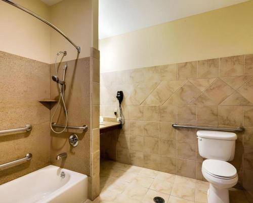 a bathroom with a toilet and a tub and a shower at Comfort Suites near NASA - Clear Lake in Webster
