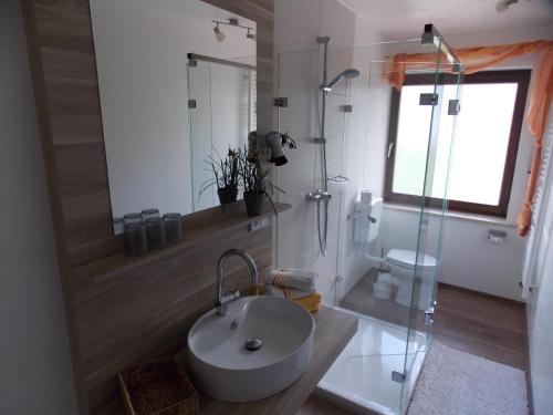 a bathroom with a sink and a glass shower at Ferienwohnung Dimpfl-Stad´l Fam. Lemberger in Lohberg