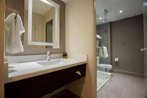 a bathroom with a sink and a mirror and a toilet at Best Western Plus Executive Inn in Toronto