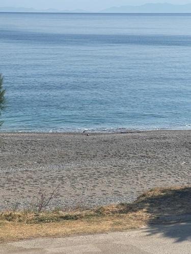Φυσικό τοπίο κοντά σε αυτό το διαμέρισμα