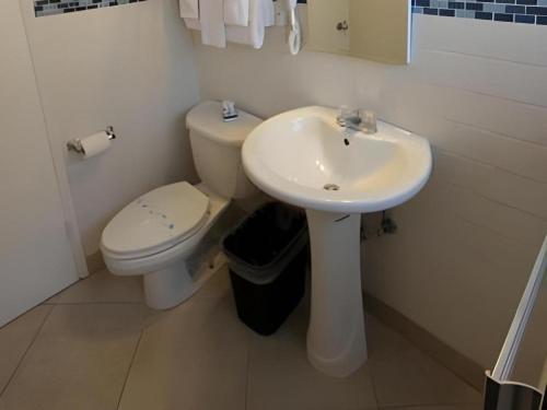 a white bathroom with a toilet and a sink at Highland Gardens Hotel in Los Angeles