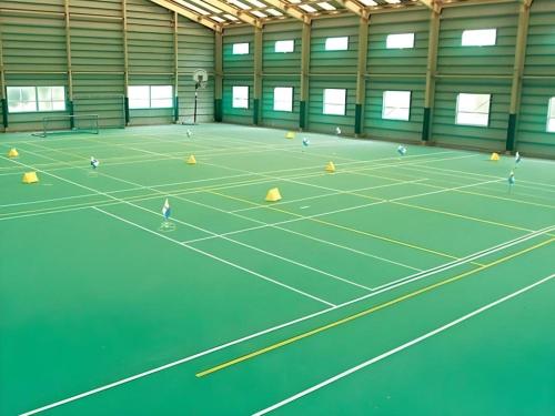 a tennis court with many tennis balls on it at Shirako New Seaside Hotel in Shirako