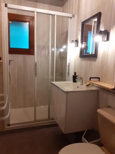 a bathroom with a shower and a sink and a toilet at Les Gîtes Du Pré Nouveau in Prénovel
