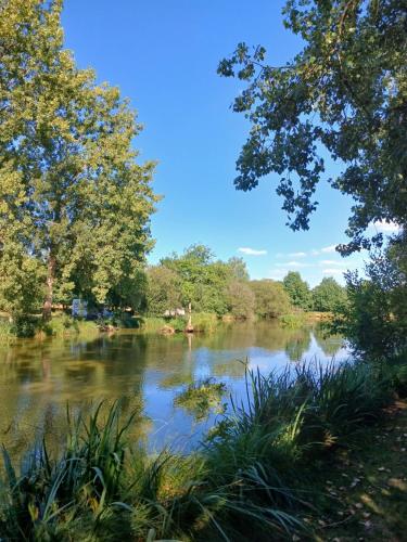 a view of a river with trees and the water at Les Rives De Bel Air - Hébergements - Camping - Caravaning in Saint-Siméon