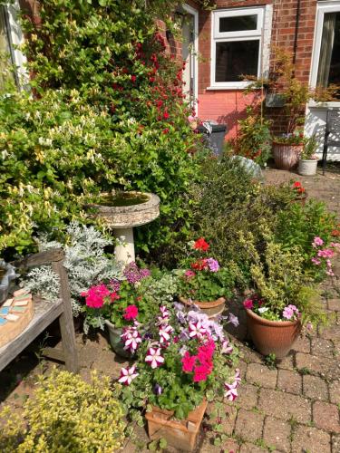 a garden with flowers in pots and a bench at The Buttery in Brundall