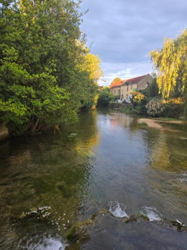 - une vue sur une rivière avec des arbres et des maisons dans l'établissement L'orée des 3 Rivières, à Is-sur-Tille