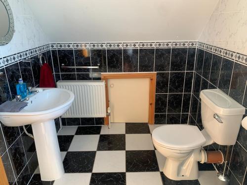 a bathroom with a toilet and a sink at 39 woodview in Listowel