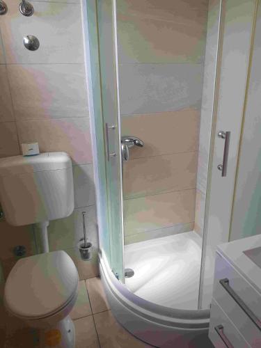 a bathroom with a toilet and a glass shower at Studio Apartment Sanja 1 in Neum