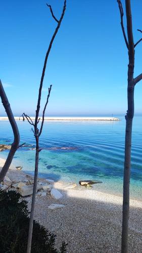 a view of the ocean from a beach with trees at Casa Ale in Bisceglie