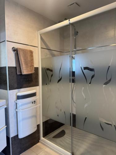 a shower with a glass door with dolphins painted on it at La Grande Tour in Valras-Plage