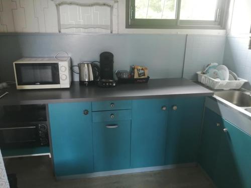 a kitchen with blue cabinets and a microwave at Maison vue sur mer in Plougastel-Daoulas