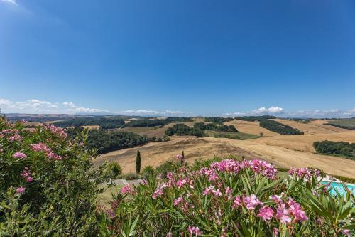 a view of the rolling hills and flowers at Poggio D'Arno in Asciano