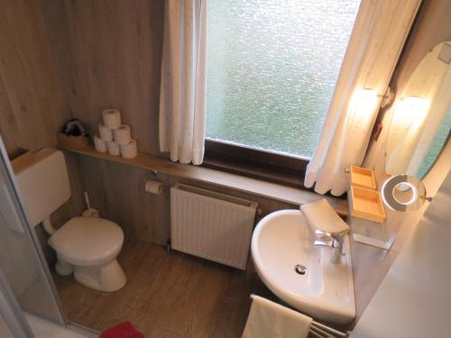 a small bathroom with a toilet and a sink at Ferienhaus Scout 42 im Feriendorf Altes Land in Hollern-Twielenfleth