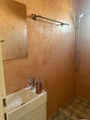 a bathroom with a sink and a shower at Lefki's House in Agiokampos