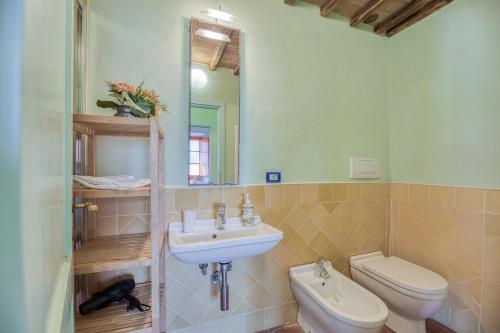 a bathroom with a sink and a toilet and a mirror at Poggio D'Arno in Asciano
