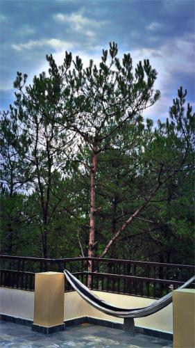 a hammock in front of a fence with a tree at XTSY Travellers Hostel in Shillong