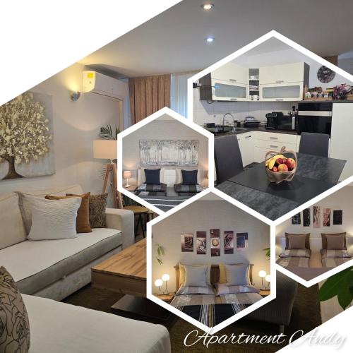 Apartment Andy