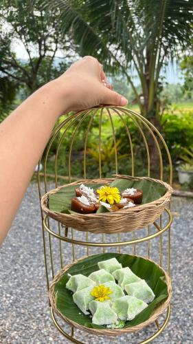 a person reaching into a bird cage with a plate of food at Cana Garden Minimal 4 in Satun