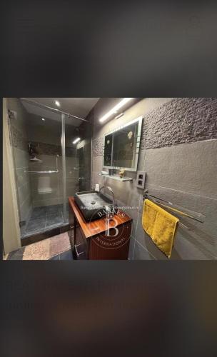 a bathroom with a sink and a shower at Chez Carole in Rose Hill