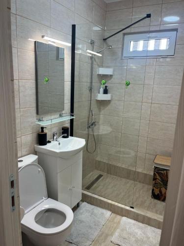 a bathroom with a shower and a toilet and a sink at Dima Residence in Mangalia
