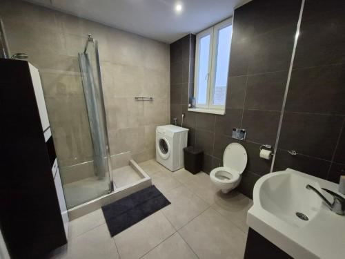 een badkamer met douche, toilet en wastafel bij Authentic Belgrade Centre Apartment #5, Four bedrooms, One Full Bathroom, One Toilet in Belgrado