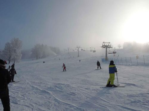 a group of people skiing down a ski slope at Holiday home Sedlonov - Adlergebirge 949 in Sedloňov