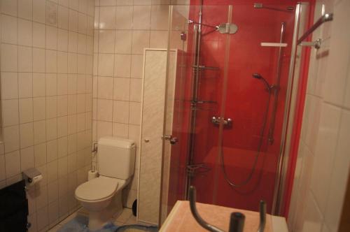 a bathroom with a shower with a toilet and a sink at Fluehüsli in Wiler