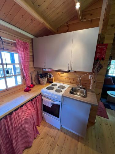 a kitchen with a stove and a sink in a cabin at Nordlands hytta in Meby