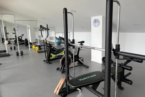 - une salle de sport avec plusieurs tapis de course et vélos d'exercice dans l'établissement Spacious apartment with pool in Talence, à Talence