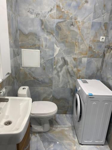 a bathroom with a toilet and a sink at Evrodvushka in Odesa