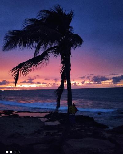 a palm tree on the beach at sunset at Casa Mar Poesia - Taiba in Taíba