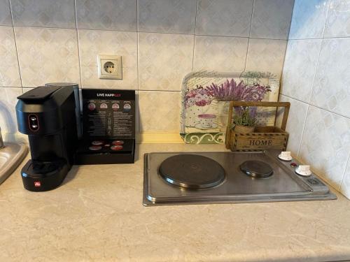 a kitchen counter with a coffee maker and a microwave at Φιλυρέα Apartments - Room 2 in Zagora