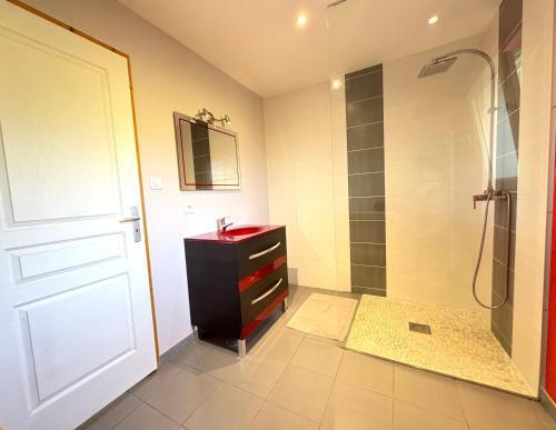 une salle de bain avec une douche, un lavabo et un miroir dans l'établissement Gîte chez Mimile nature et déconnexion, à Tendon