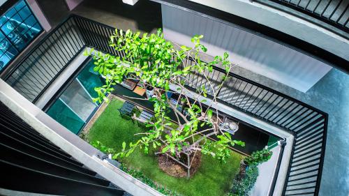 an overhead view of a plant on a building at V1 boutique hotel in Kanchanaburi