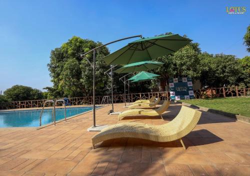 a row of chairs with an umbrella next to a pool at Lotus Hotel & Resort in Ambernath