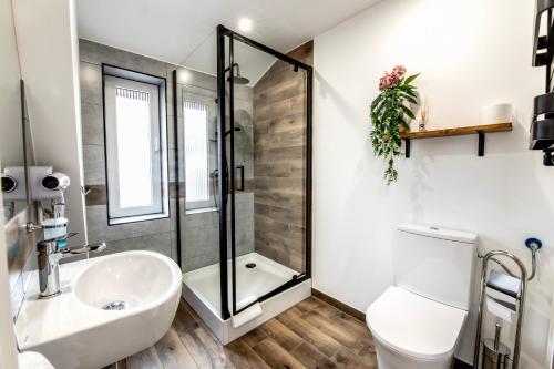 a bathroom with a shower and a toilet and a sink at Noclegi Europa in Bolesławiec