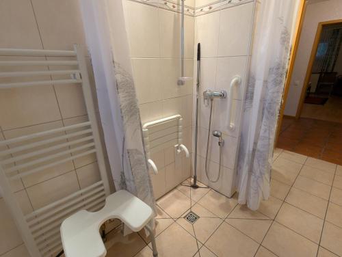 a bathroom with a shower and a toilet at Haus Ekke Nekkepenn II, Haus Ekke Nekkepenn II, Whg D2 in Wyk auf Föhr