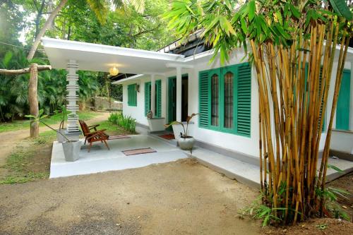 Taman di luar Lazy Monkey Surfhostel - Sri Lanka