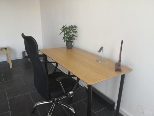 a wooden table with a chair and a plant on it at Chambre Chez l'habitant in Seltz