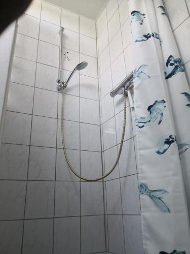 - un rideau de douche avec un tuyau dans la salle de bains dans l'établissement Chambre Chez l'habitant, à Seltz