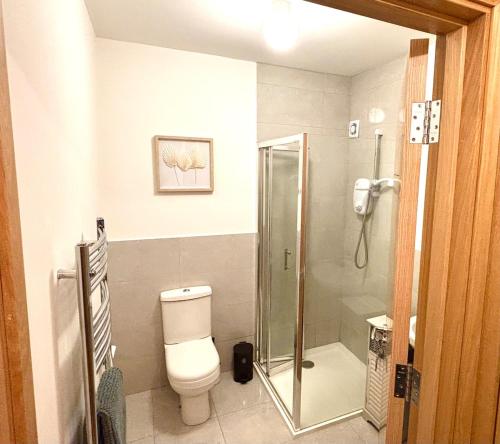 a bathroom with a toilet and a glass shower at Newly renovated town house in Athlone