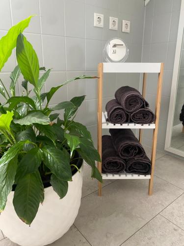 Φωτογραφία από το άλμπουμ του Ferienwohnung Kleine Auszeit σε Pulheim