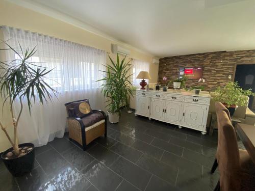 a living room with a couch and a table with plants at Casa do Avô in Carvide