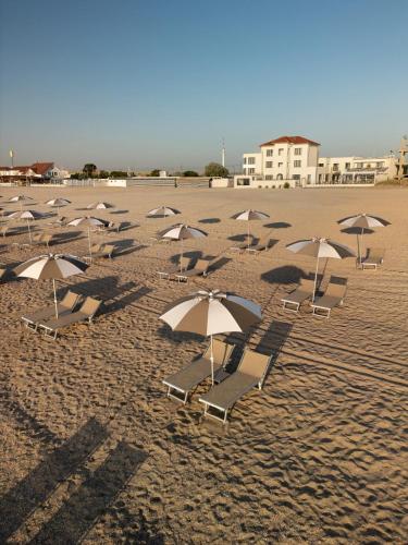 a group of chairs and umbrellas on a beach at Euforia Retreat and Spa in Eforie Nord