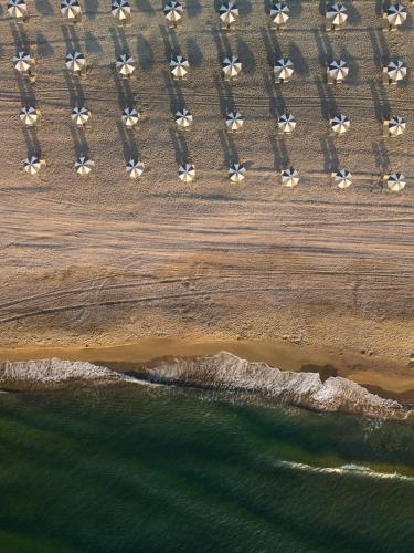 an aerial view of the beach and the ocean at Euforia Retreat and Spa in Eforie Nord