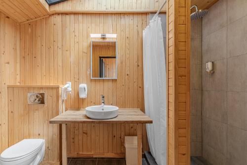 un bagno con lavandino e WC di Bukovel Glamping a Bukovel