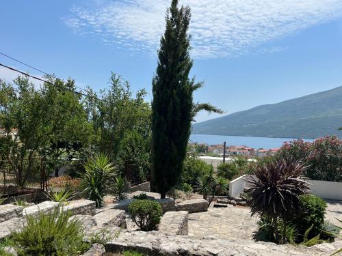 Φυσικό τοπίο κοντά σε αυτό το διαμέρισμα