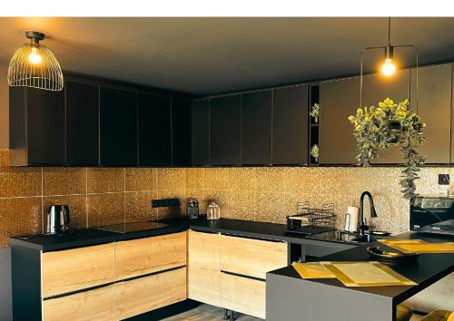 a kitchen with black cabinets and black counter tops at Greyhouse Apartments in Harkány